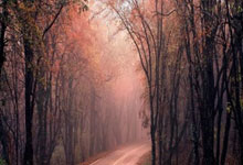 苏炳添回归赛场，新赛季首秀夺冠@央视体育.