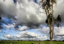 NG28:体坛名场面 | 孙颖莎整顿上下,国乒第一刺头.