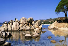 排球高手 ｜ 致敬所向披靡的朱婷.